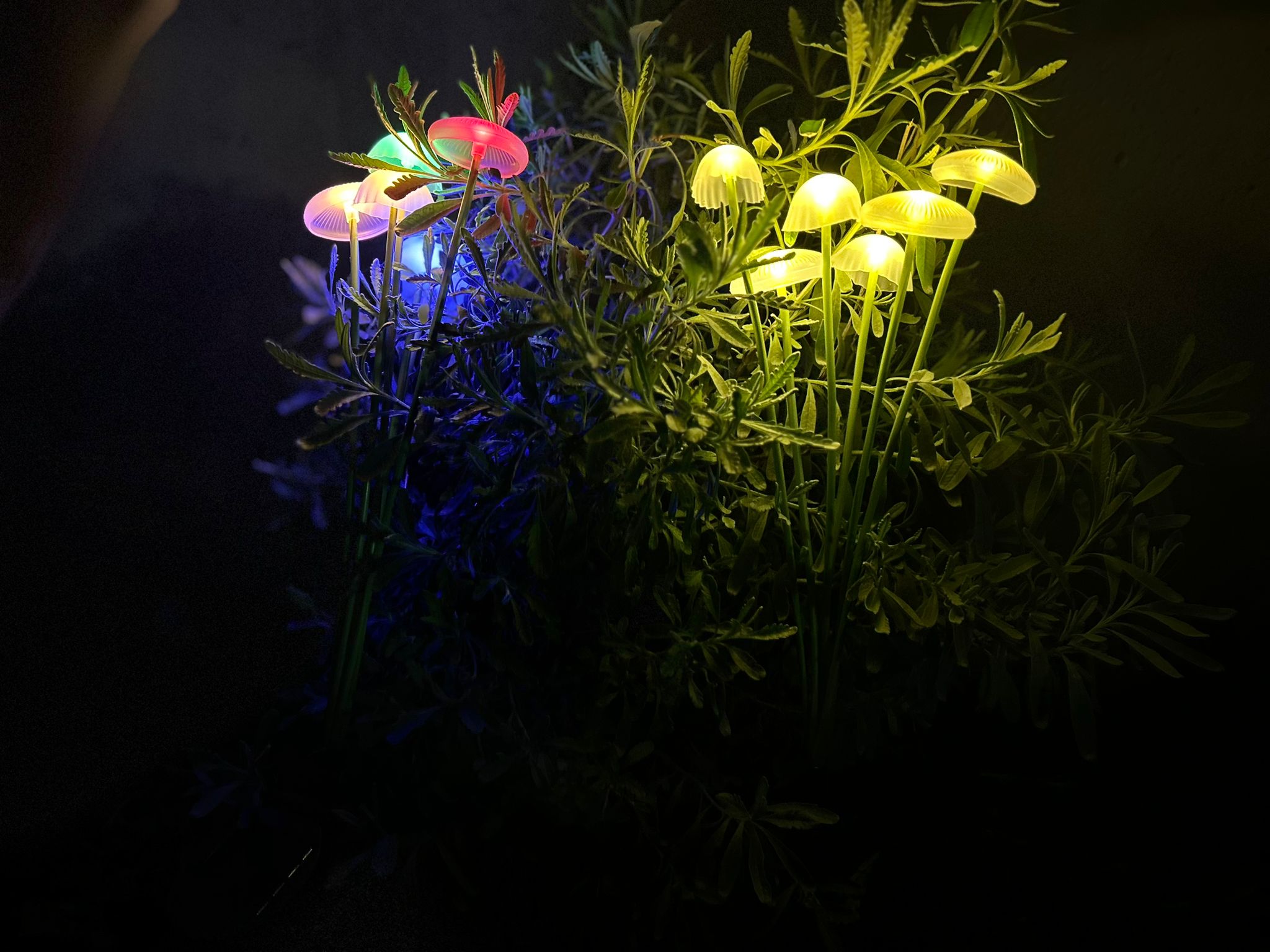 GlowMushrooms-פיטריות סולריות עם תאורה עדינה