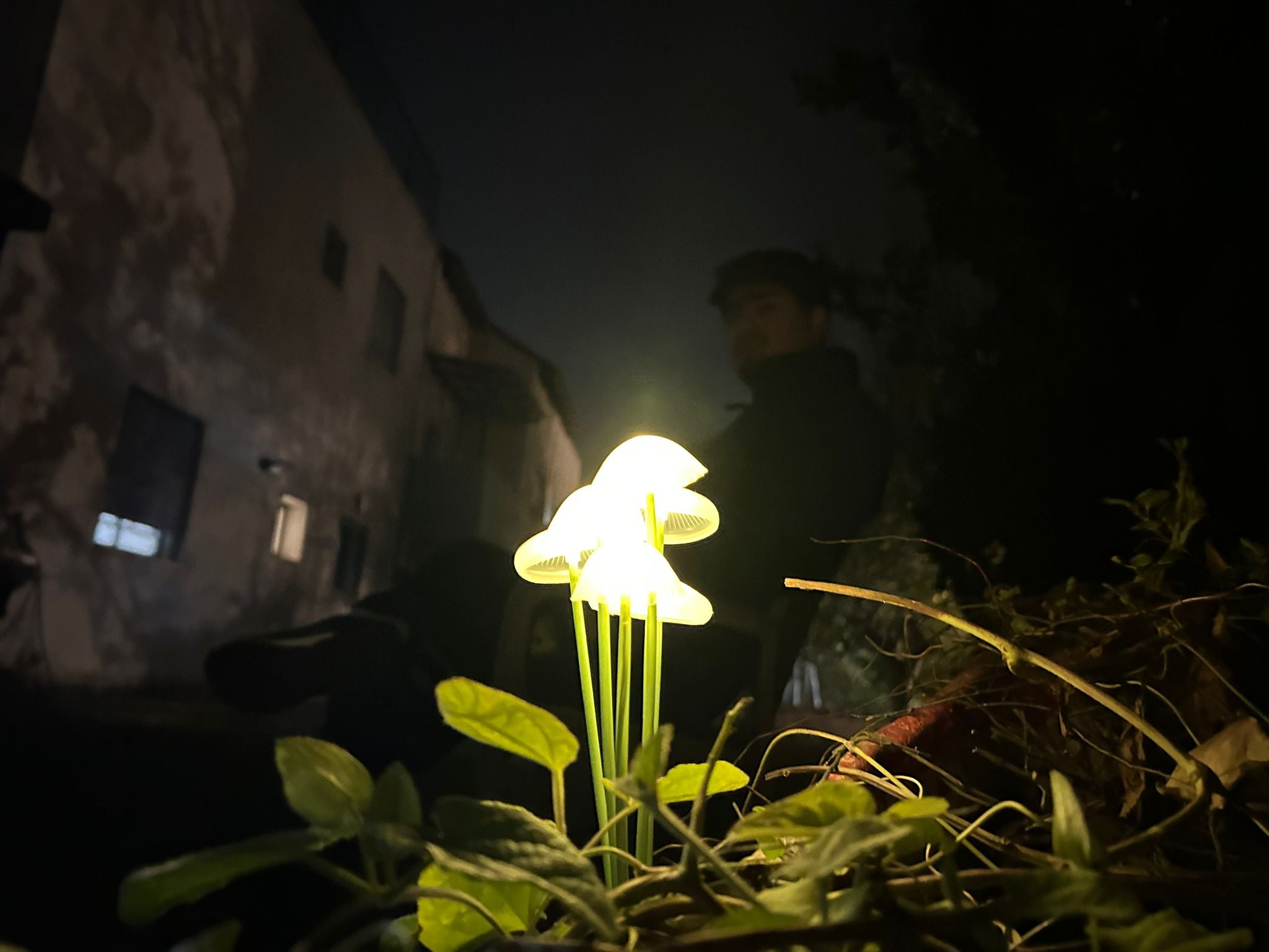 GlowMushrooms-פיטריות סולריות עם תאורה עדינה
