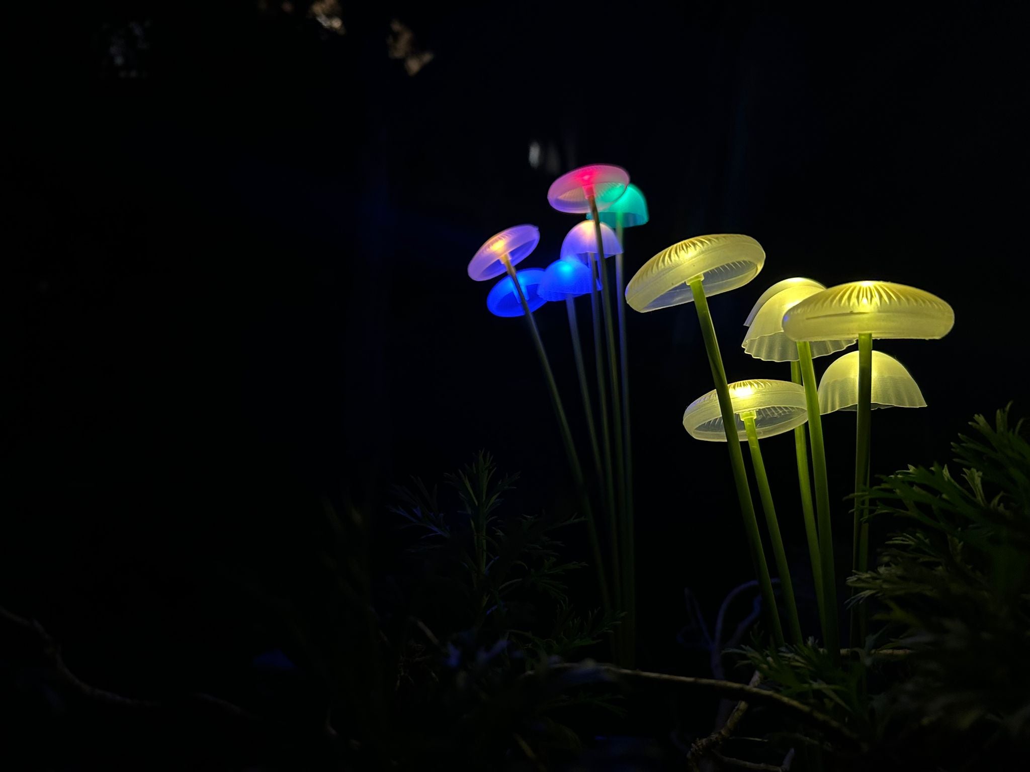 GlowMushrooms-פיטריות סולריות עם תאורה עדינה